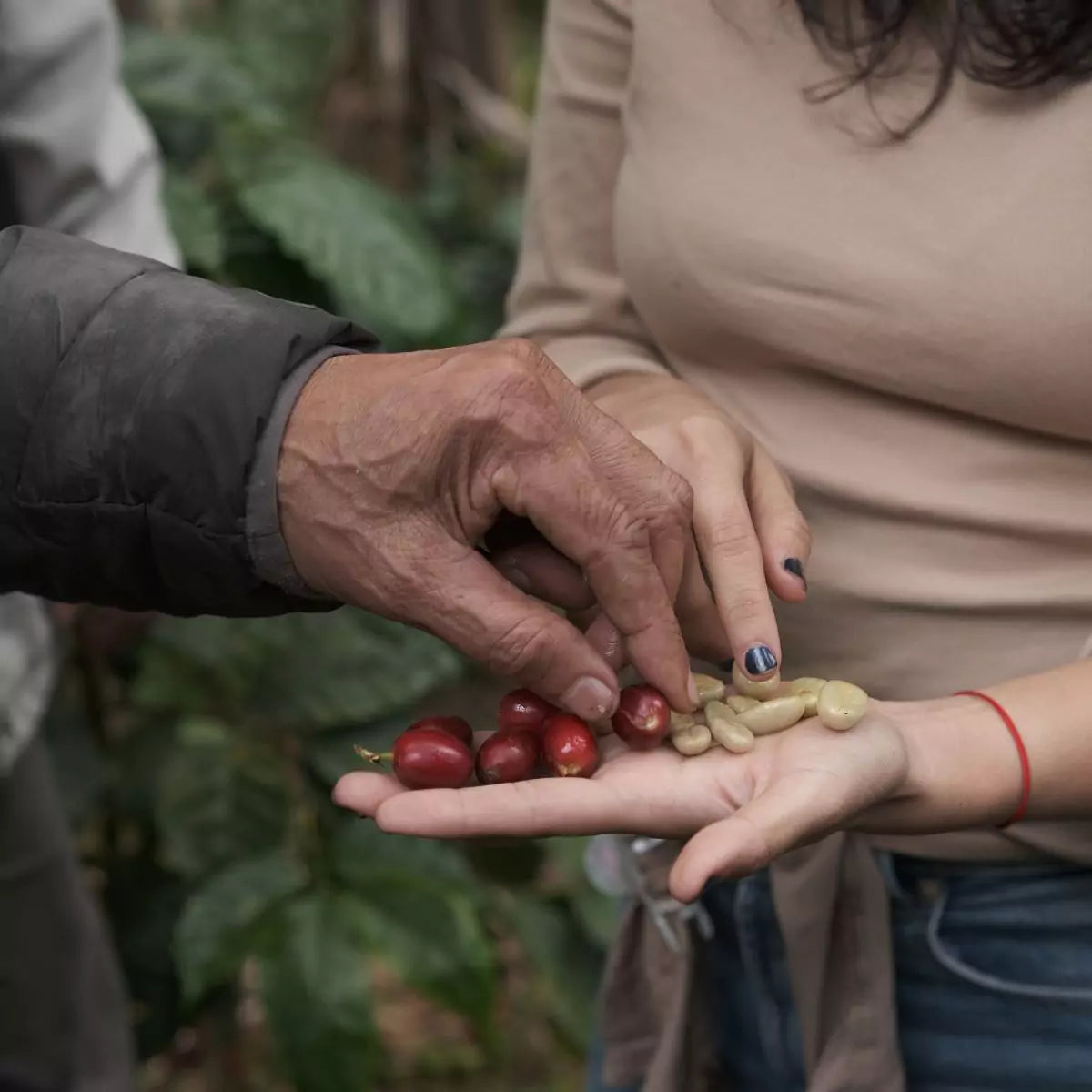 Nicaragua, Byron Corrales