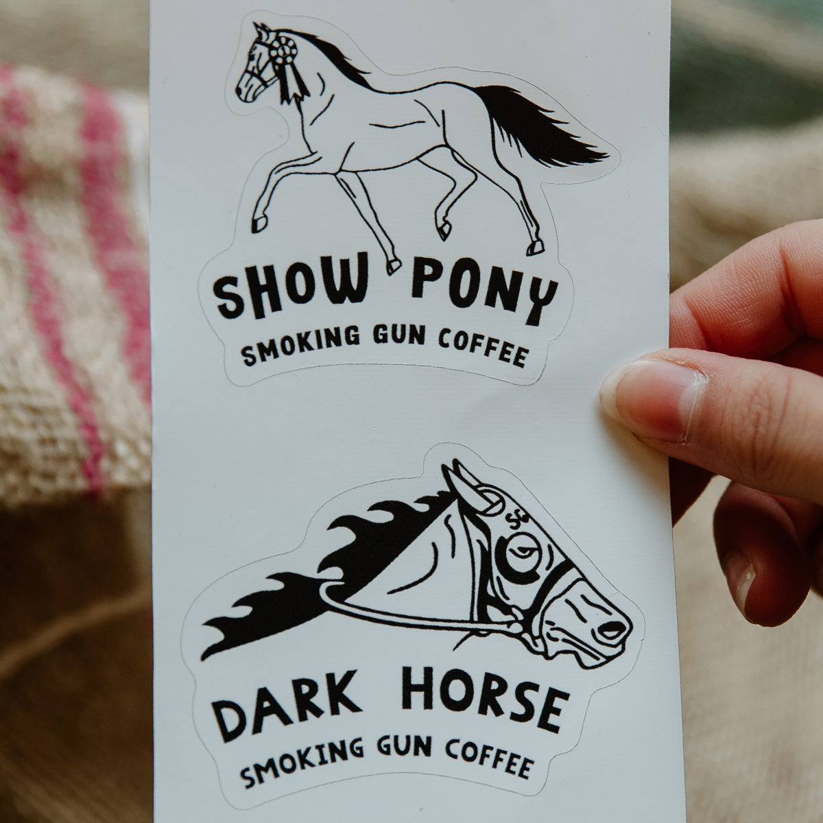 Sticker Sheet | Show Pony & Dark Horse