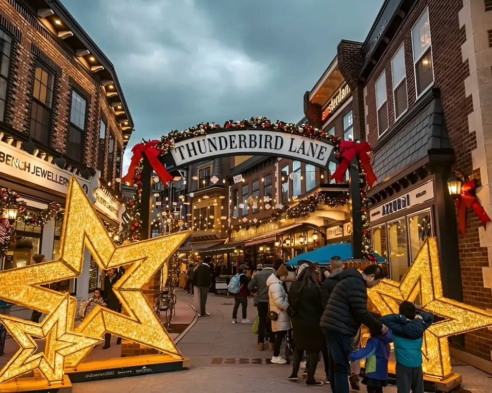 Join Us on November 15th to Light Up the Holidays at District 1881