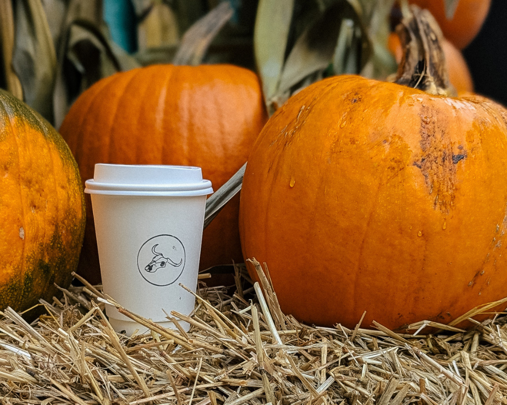 What the heck is pumpkin spice anyway?