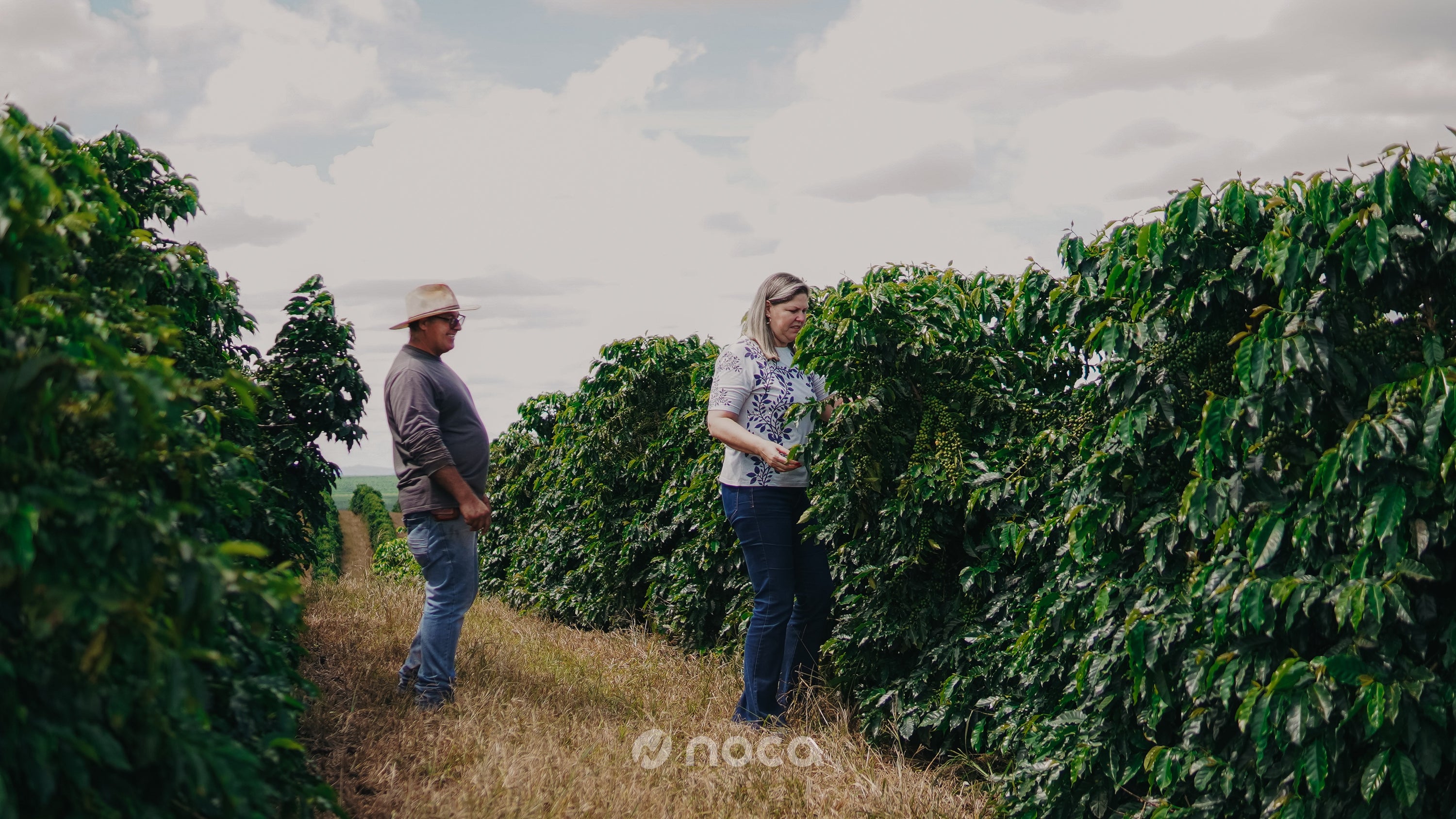 Brazil Women in Coffee
