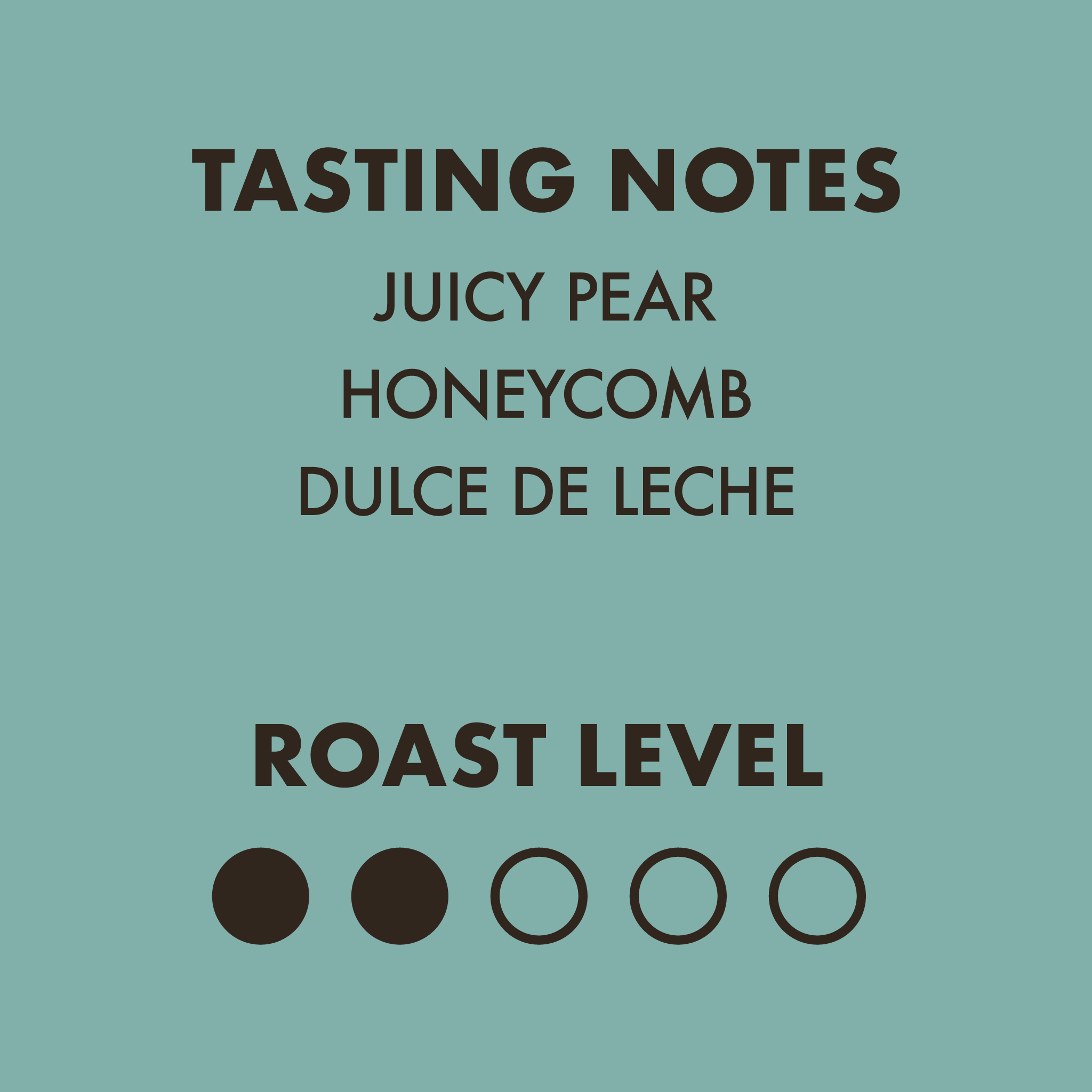 Palomino Light Roast Filter Blend