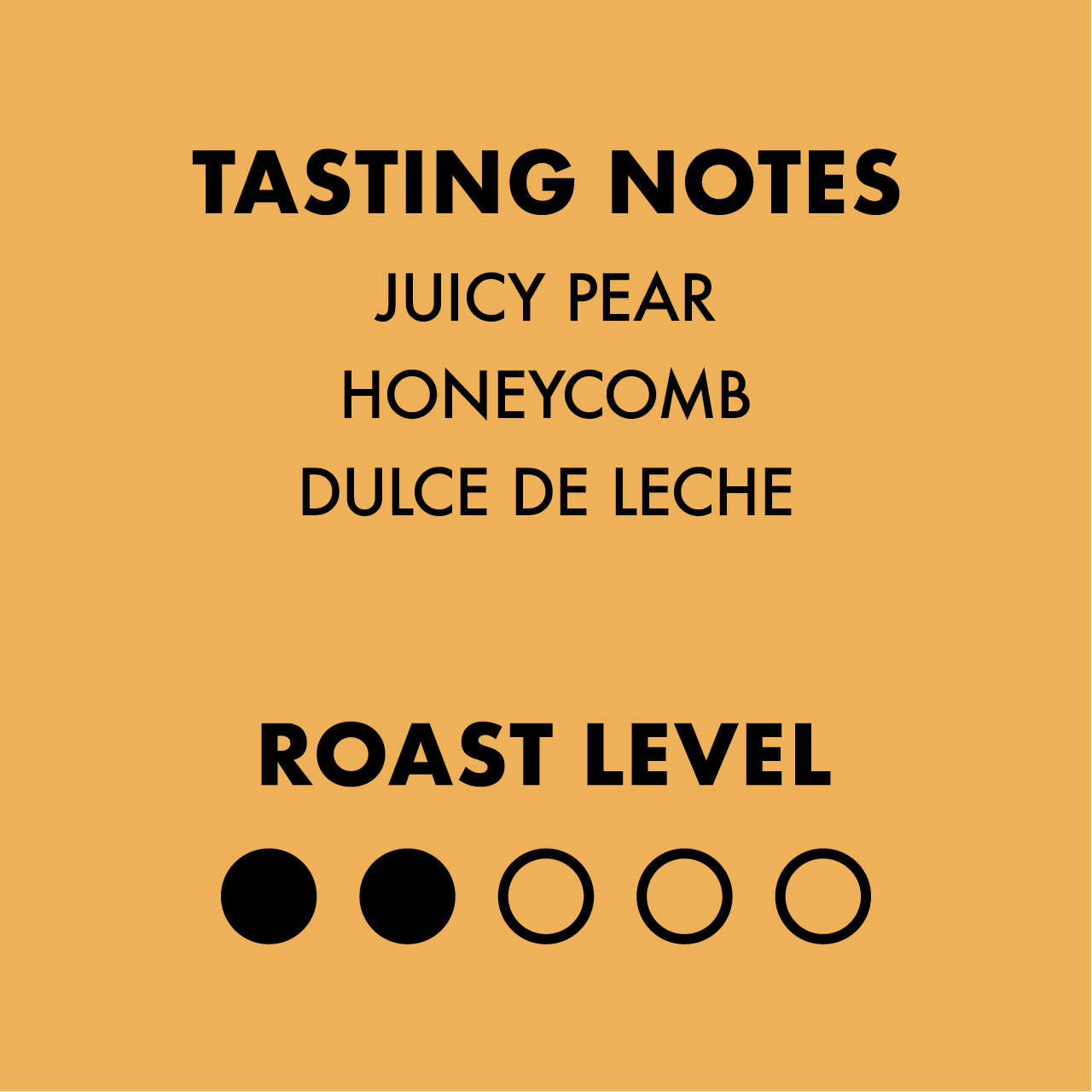 Palomino Light Roast Filter Blend