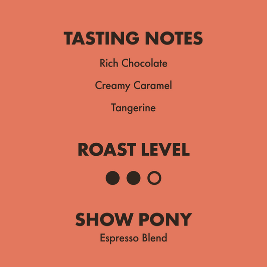 Wholesale Show Pony Espresso Blend
