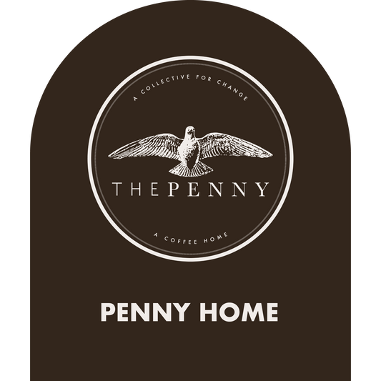 Custom Penny Home