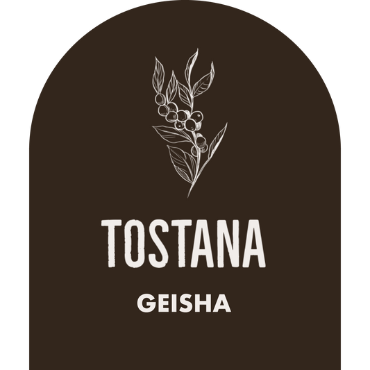 Custom Tostana Geisha